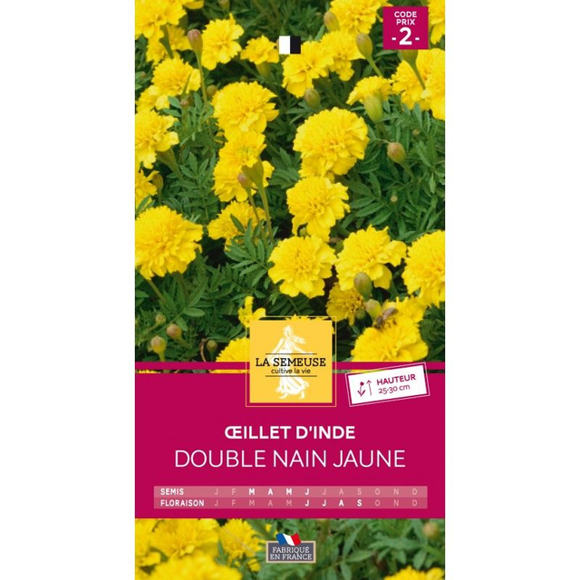 OEILLET DOUBLE NAIN JAUNE