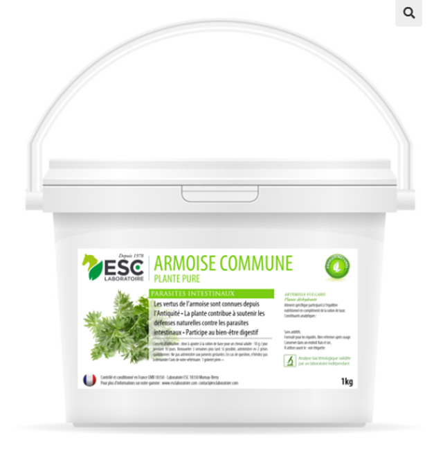 ARMOISE – Parasites intestinaux cheval – Plante pure