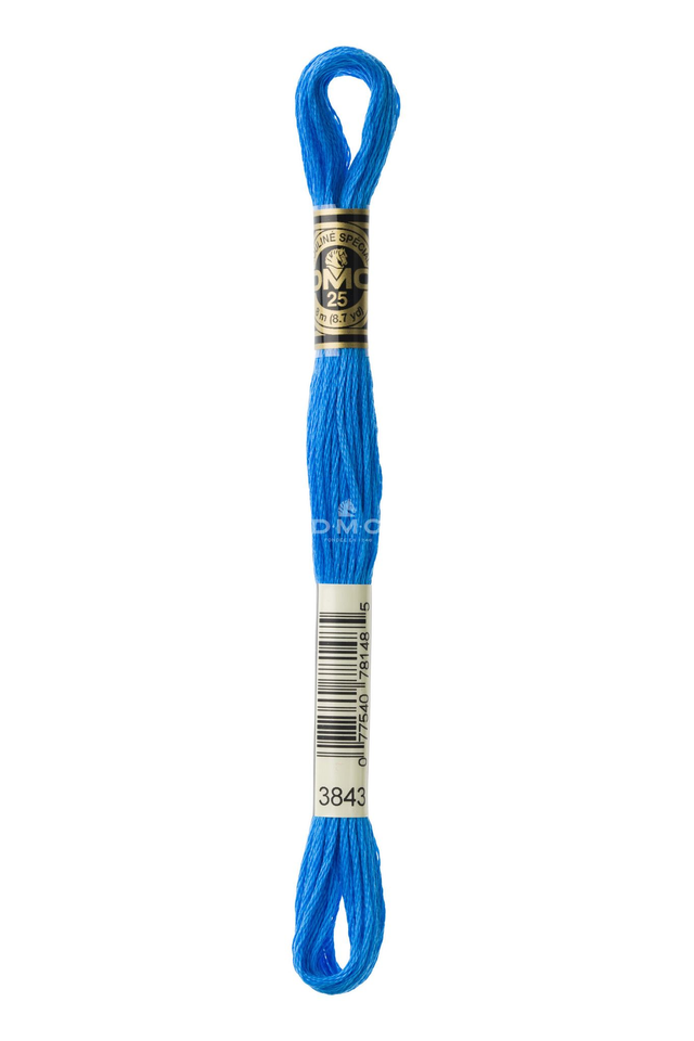 N°3843 Mouliné Spécial DMC