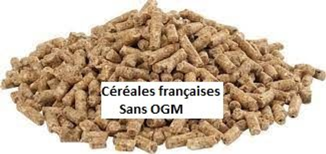 Sac de 25 kg spécial ponte sans OGM 