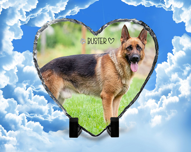 Pet memorial photo rock slate