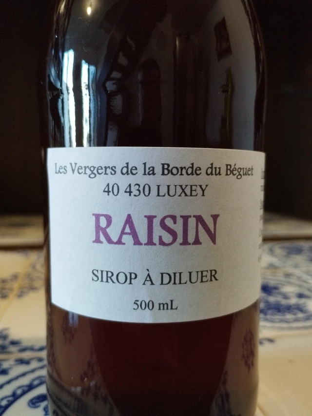 RAISIN (sirop à diluer)