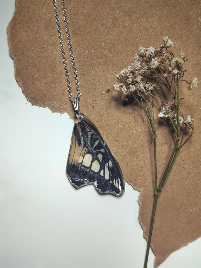 Real Butterfly Wing Necklace 