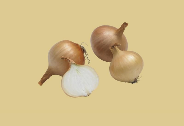 Oignons jaunes paille