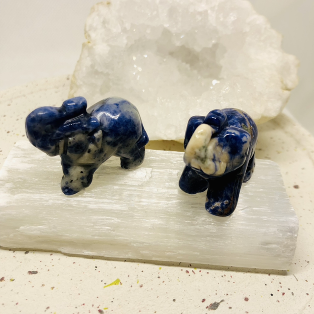 Éléphant Sodalite 