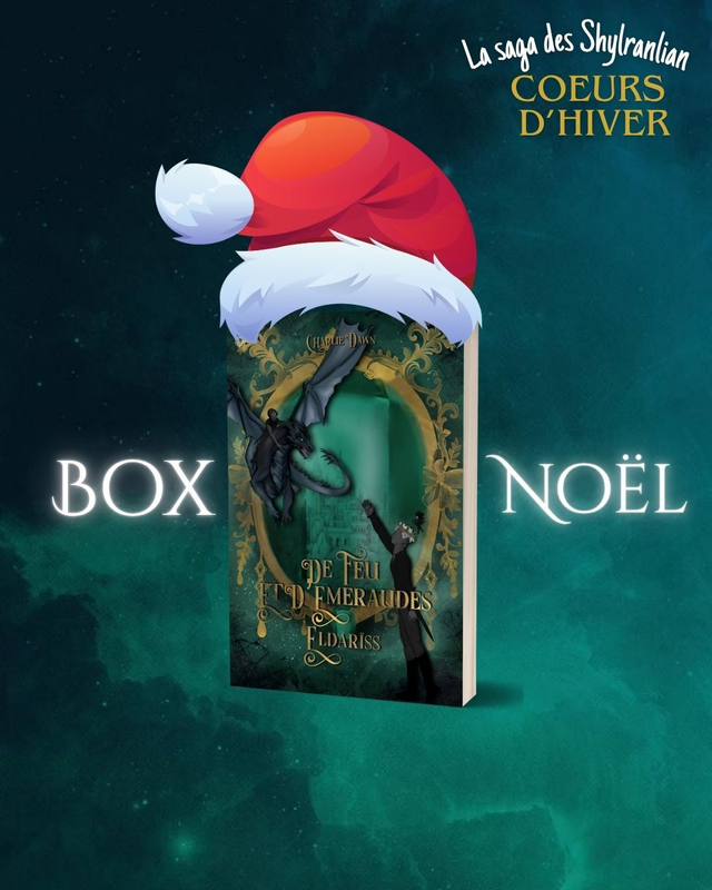 Box de noël Eldàrïss broché