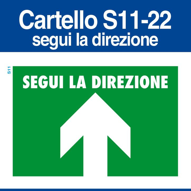 S11-Segui la Direzione
