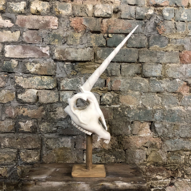 Unicorn Skull