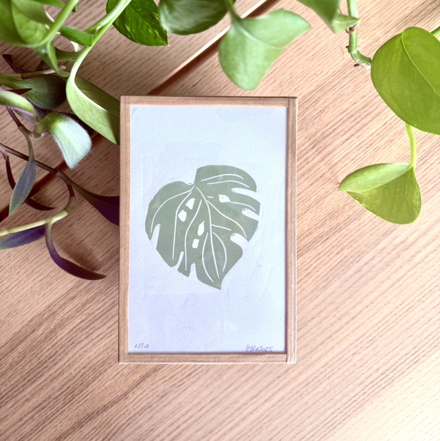 Monstera solo vert sauge - petit cadre 10x15