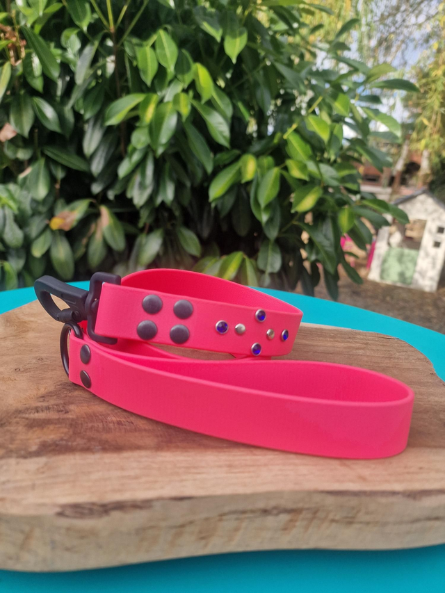 Laisse mousqueton securité