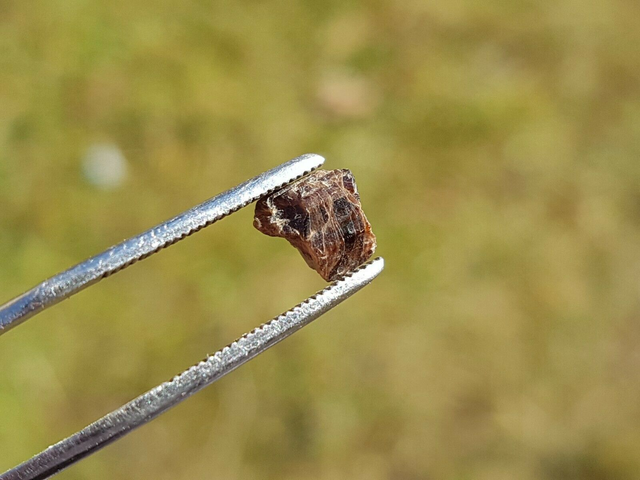 Painite brute de Birmanie 1,50 ct mineral rare minéraux bijou burma mogok gems