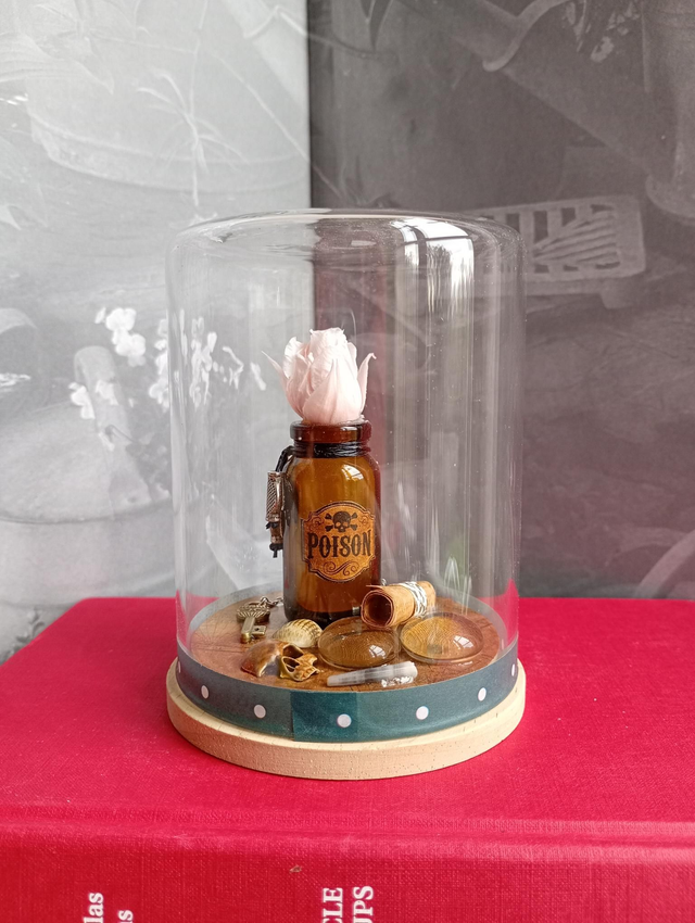 D24 Mini pirate rose