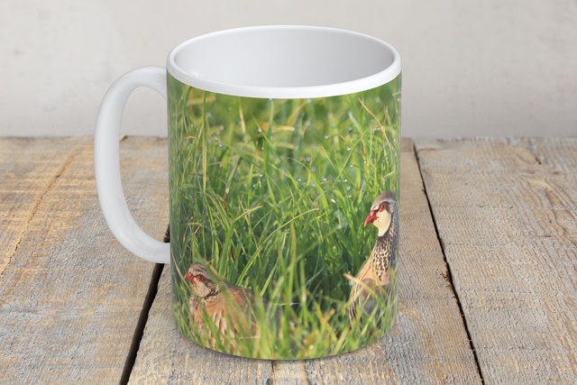 “Red Legged Partridges” Mug  