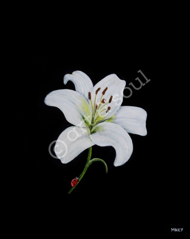 7"x5" Print only - special offer