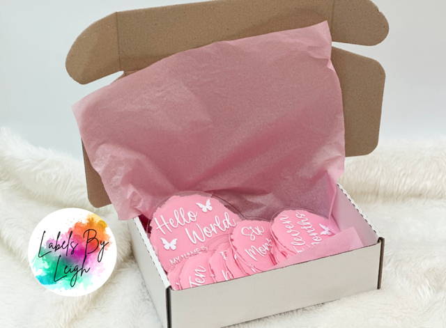 Acrylic Baby Milestone Disks