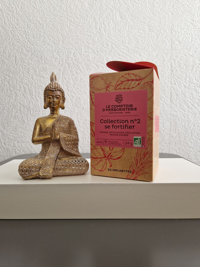 Collection n°2 se fortifier 4x5 infusettes bio