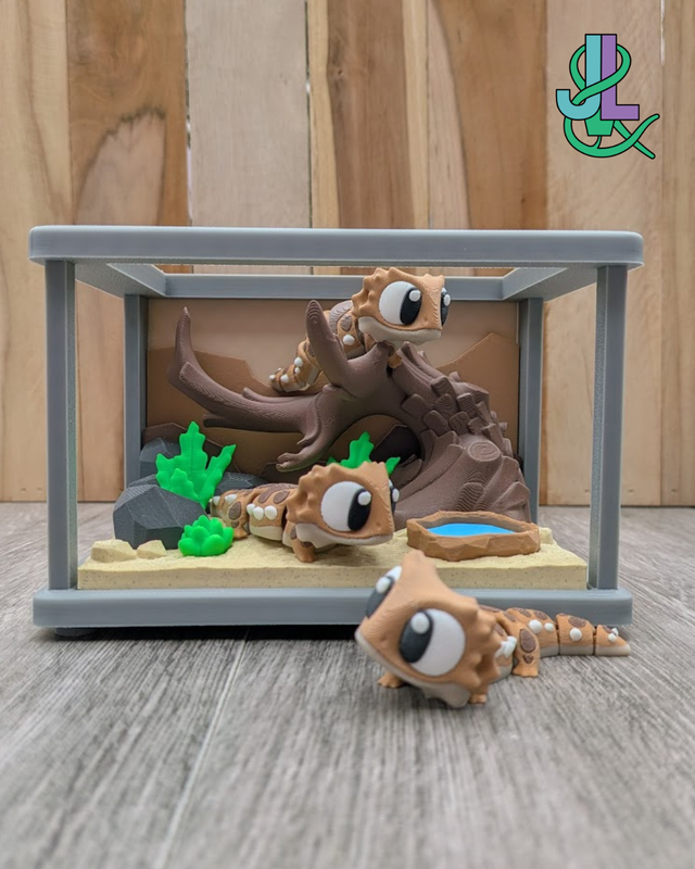 Baardagamen Terrarium