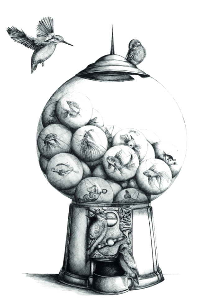 Distributeur - Edition Art 