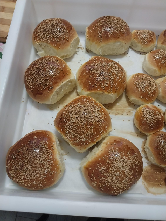 Panini hamburger 100 grammi