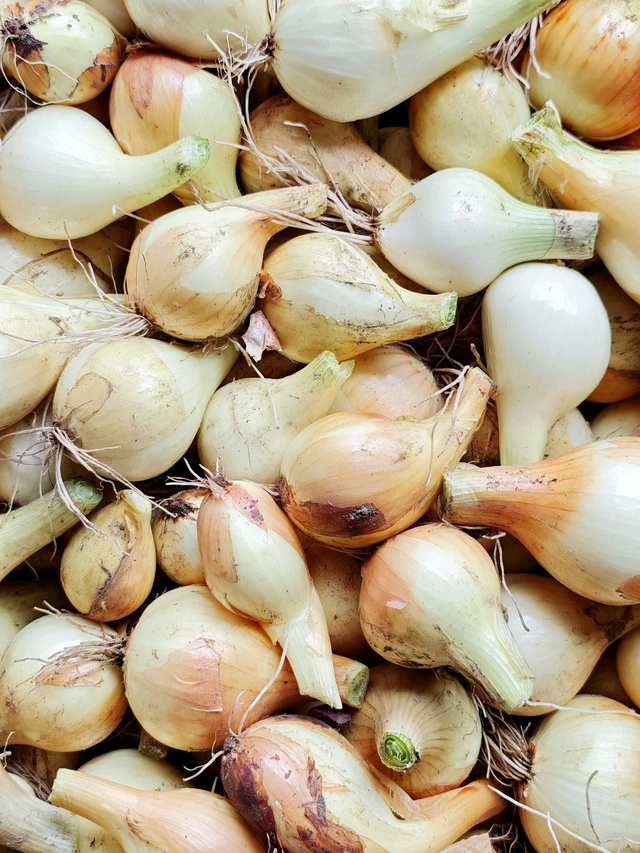 Cebula żółta EKO / 1 kg