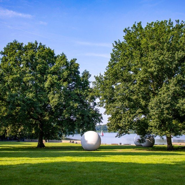 Aaseekugeln unter Sommerbäumen