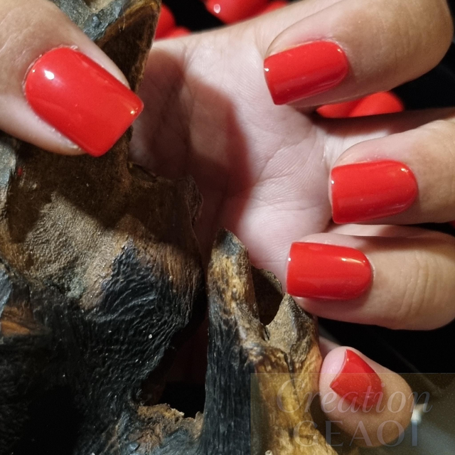 Coquelicot little carré S