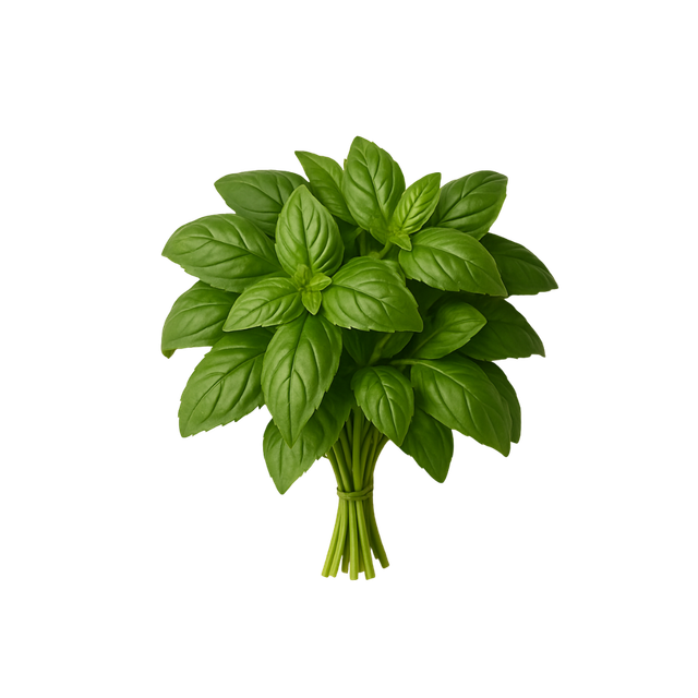 Bouquet de basilics 🧺