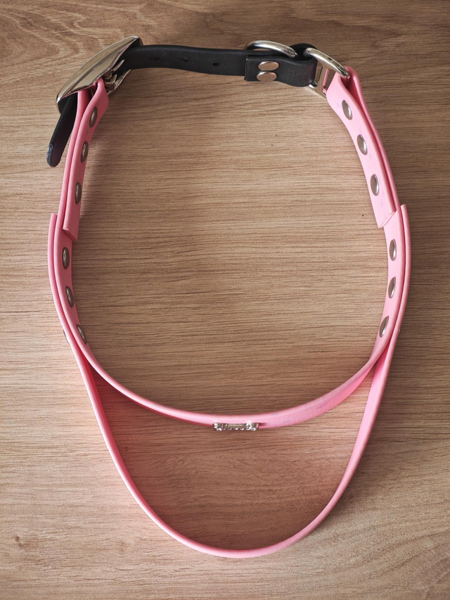 Collier biothane avec poignée intégrée