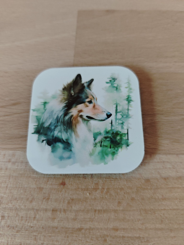 Magnet Schetland