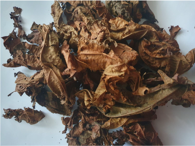 Feuilles de Djeka 50g