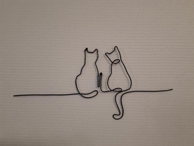 C3 Couple de chats - 