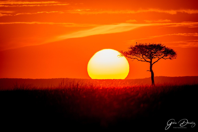 P004 - Lever de soleil