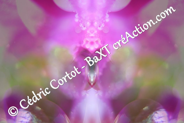 Impression sur alu dibond - Entre réel et irréel (ref C1)