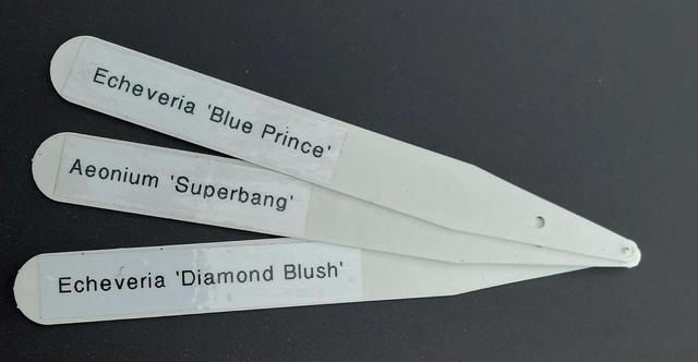 Labels