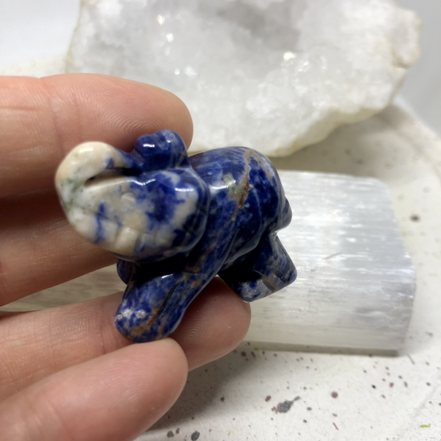 Éléphant Sodalite