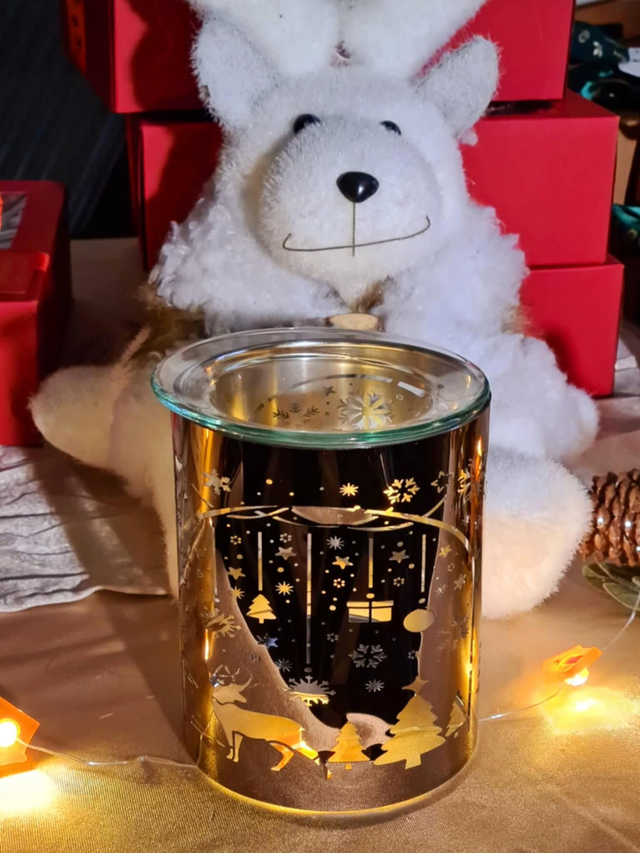 Brûleur Arche de Noel