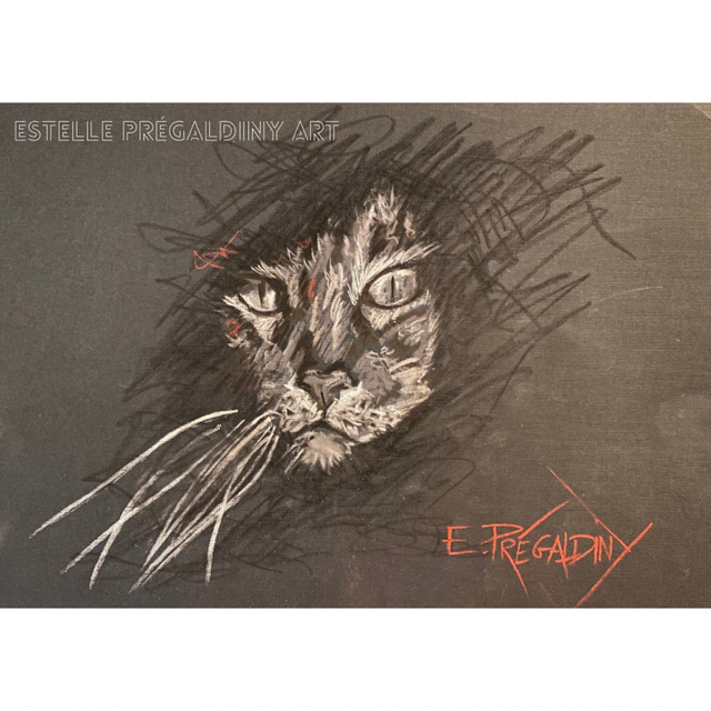 « CHAT’dow », pastel sec sur papier texturé noir