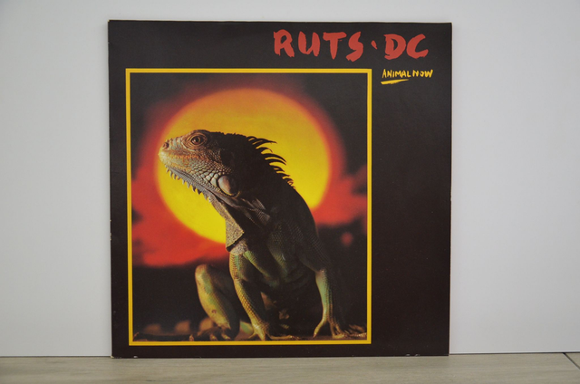Ruts DC - Animal Now (1981)