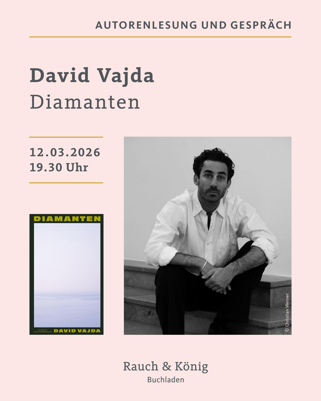 TICKET: David Vajda – Diamanten