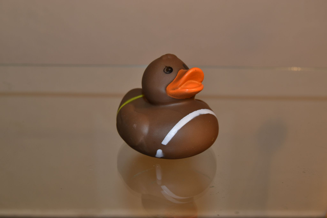 Canard chocolat