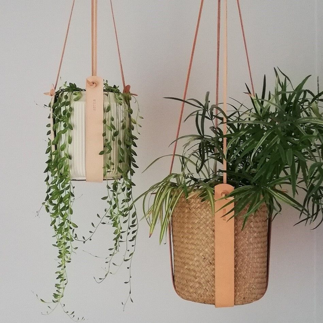 Willow Leather: Leather Plant Hanger