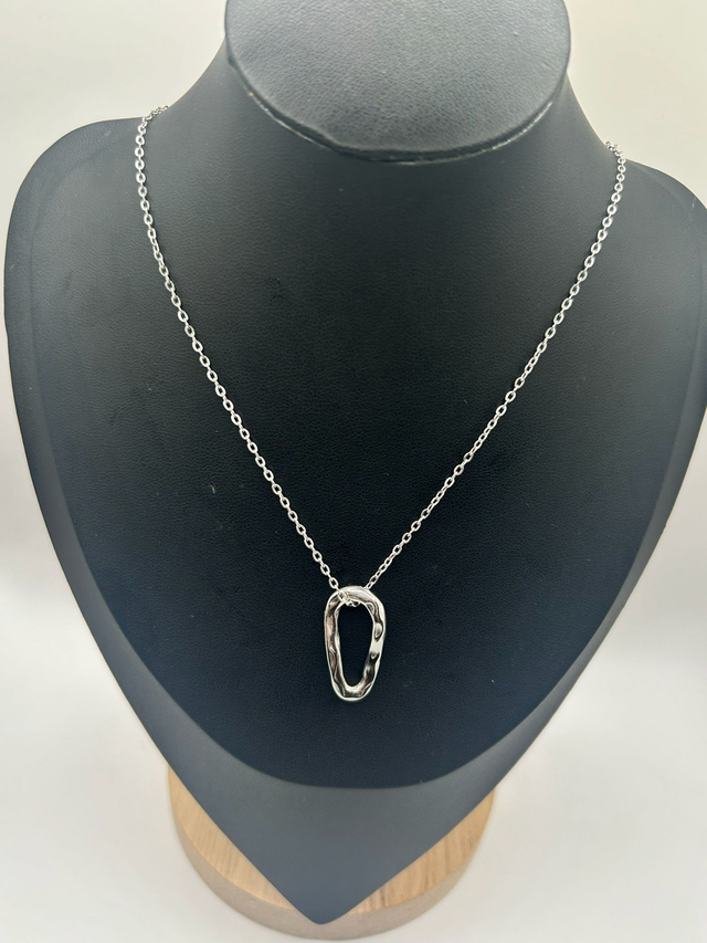 Stainless Steel Necklace (SSN52J)