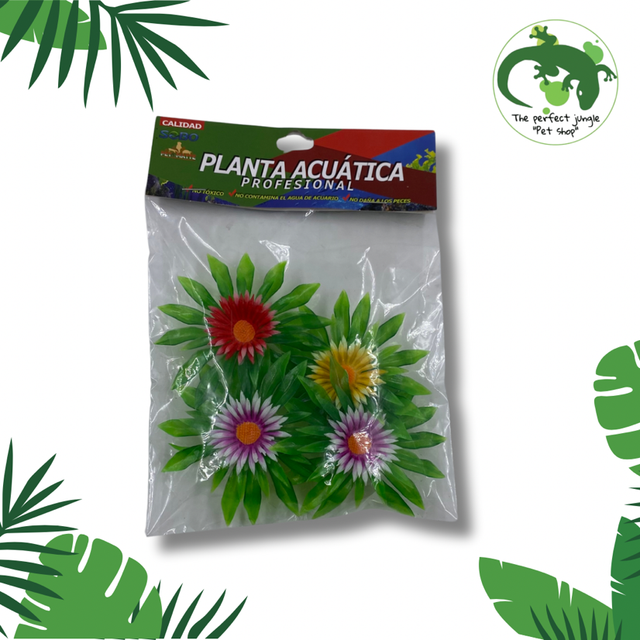 Planta Acuática 