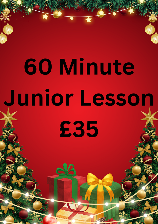 60 Minute Junior Golf Lesson