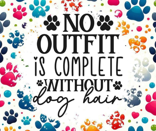 No Outfit is Complete Without..