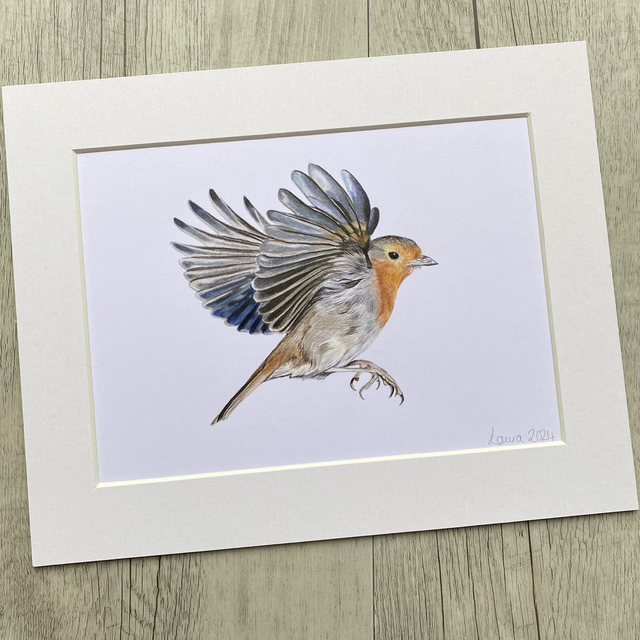 Robin in Flight Original Drawing