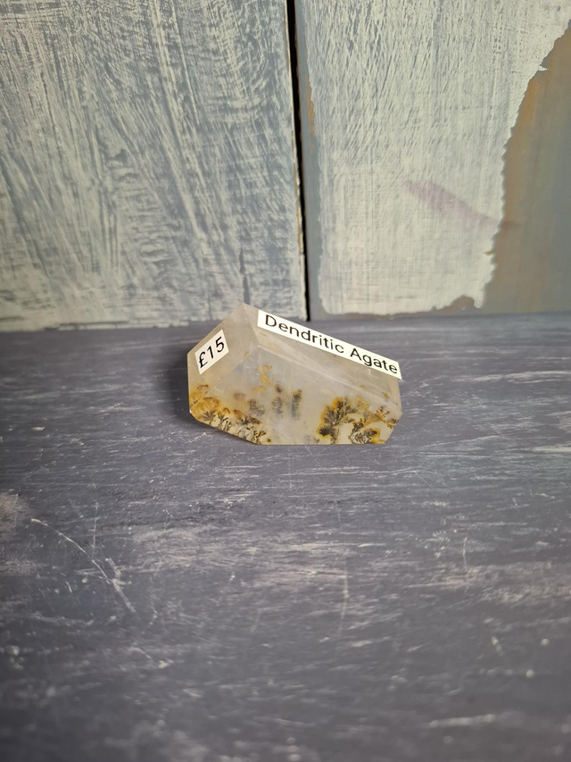 Dendritic Agate Free-form 