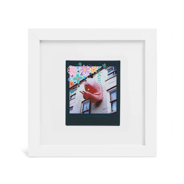 Framed Snail In The Lanes Film Artwork