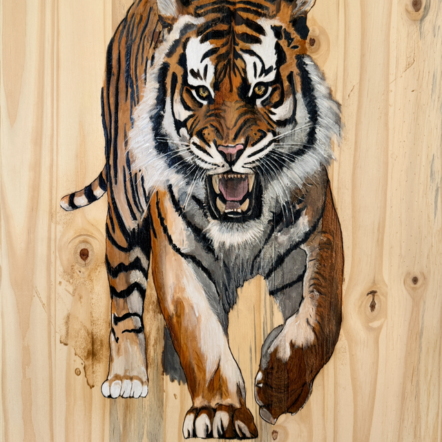 Tigre Sauvage – Gravure sur pin brut