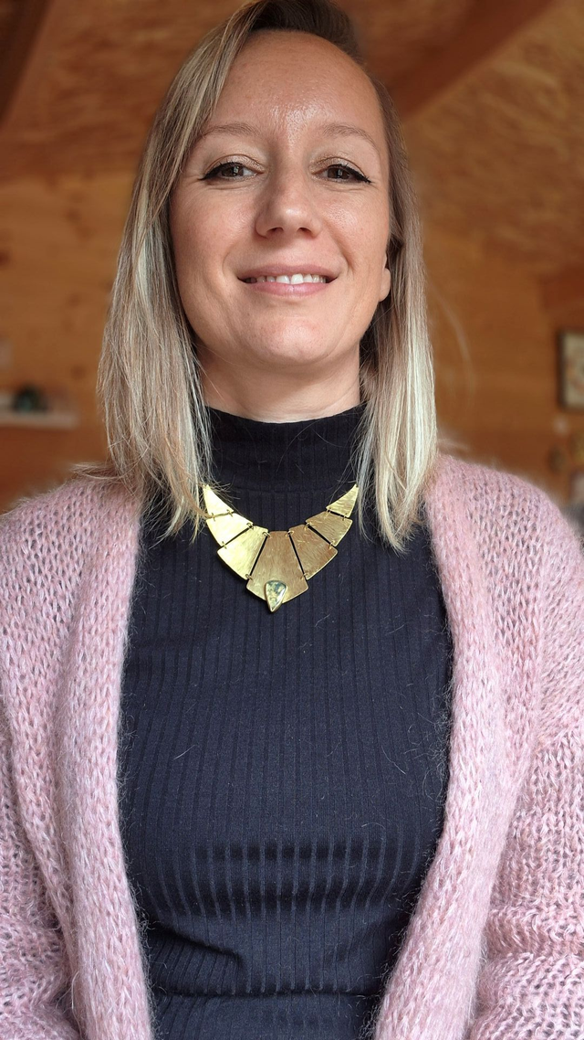 1.Plastron articulé